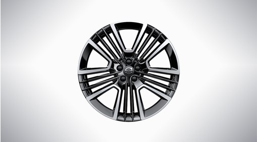 完整輪胎，21" 5-Triple Open Spoke Black Diamond Cut - C011