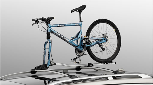 Bicycle carrier + wheel holder for fork mounting